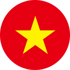vn